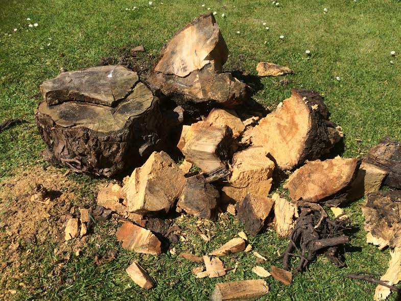 Free wood for your wood burner