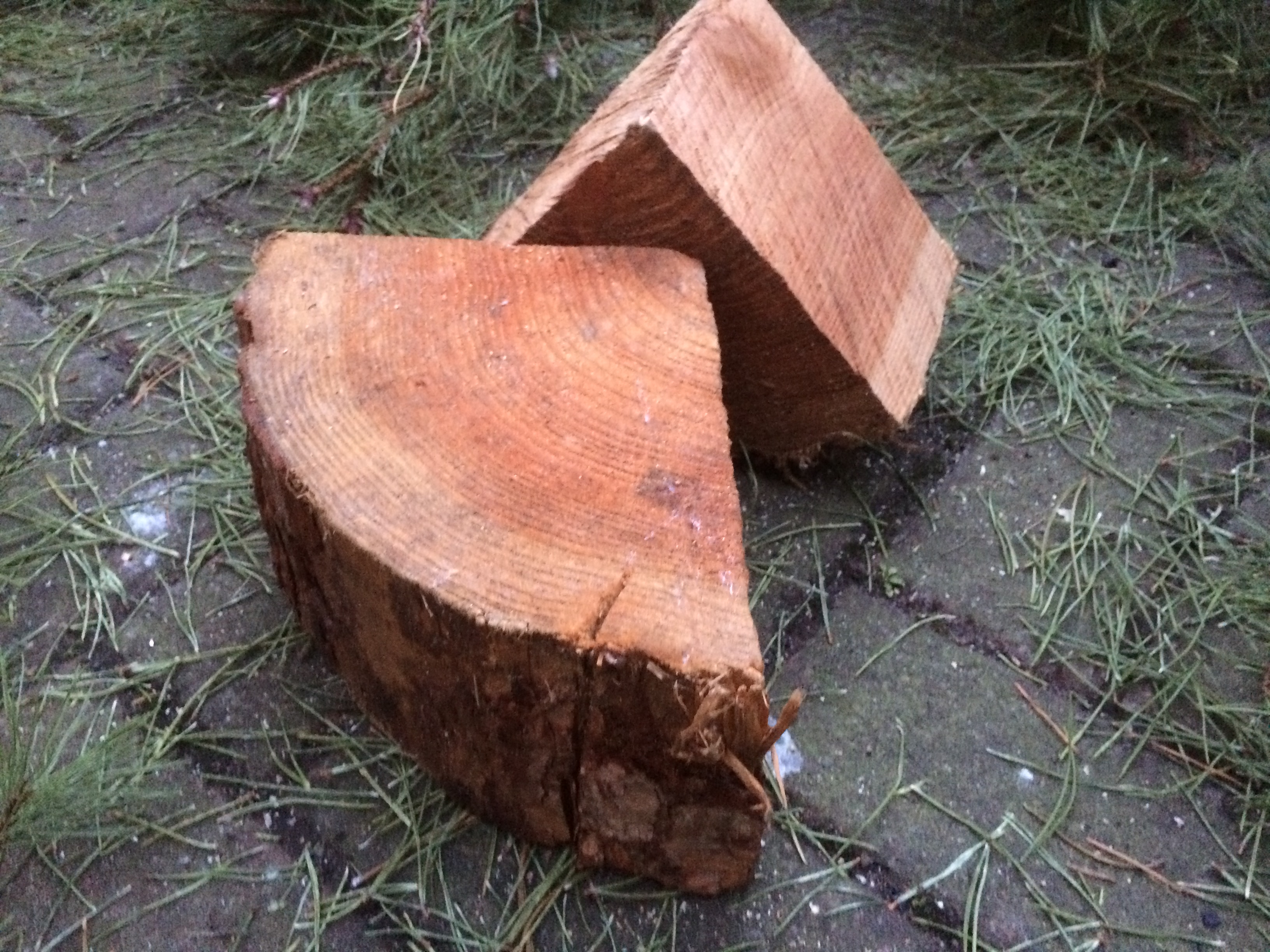 Chopped up wooden base from a Christmas tree